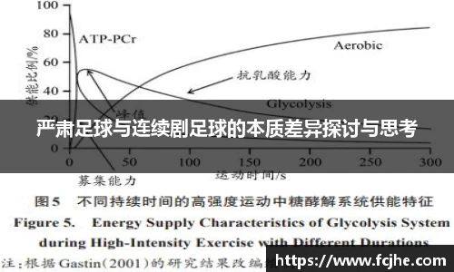严肃足球与连续剧足球的本质差异探讨与思考